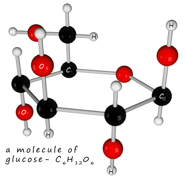 glucose molecule